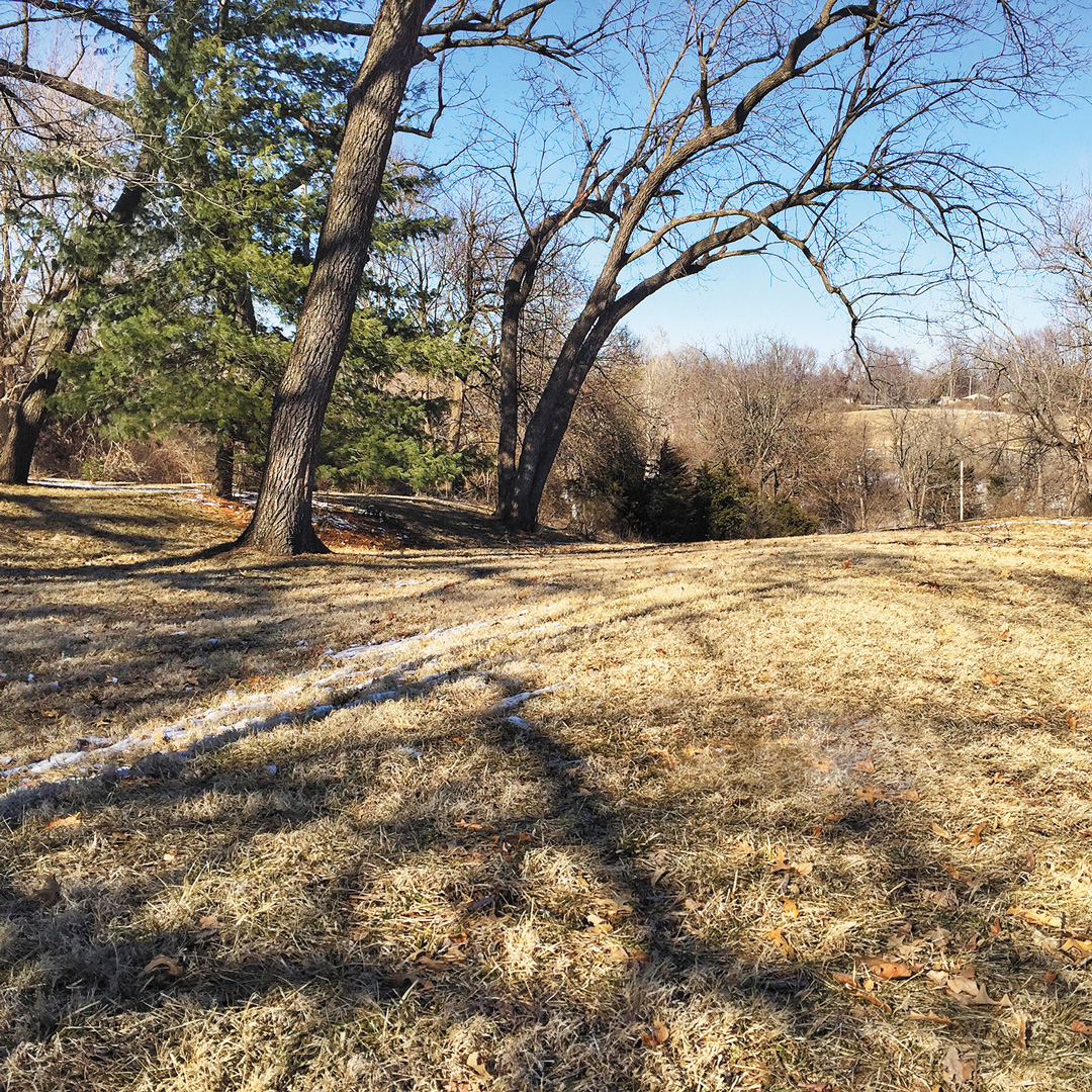 photo of the 85th trail ruts, with trees.