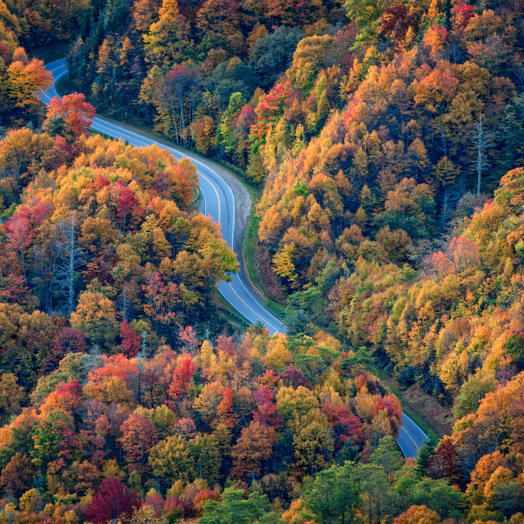 Aerial view of fall foliage along Newfound Gap Road in Great Smoky Mountains National Park.