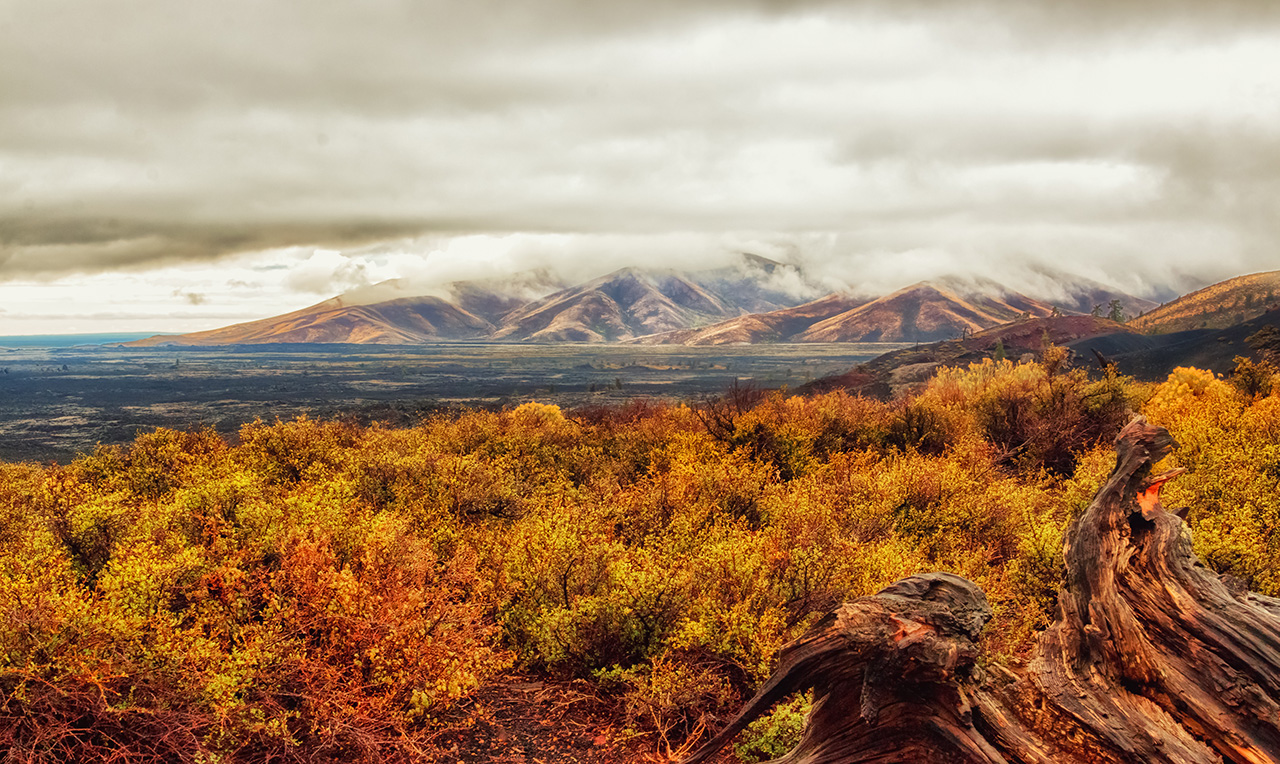 Grassy landscape stretching towards mountains