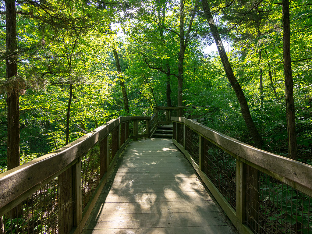 wooden walkway through trees in Starved Rock state park