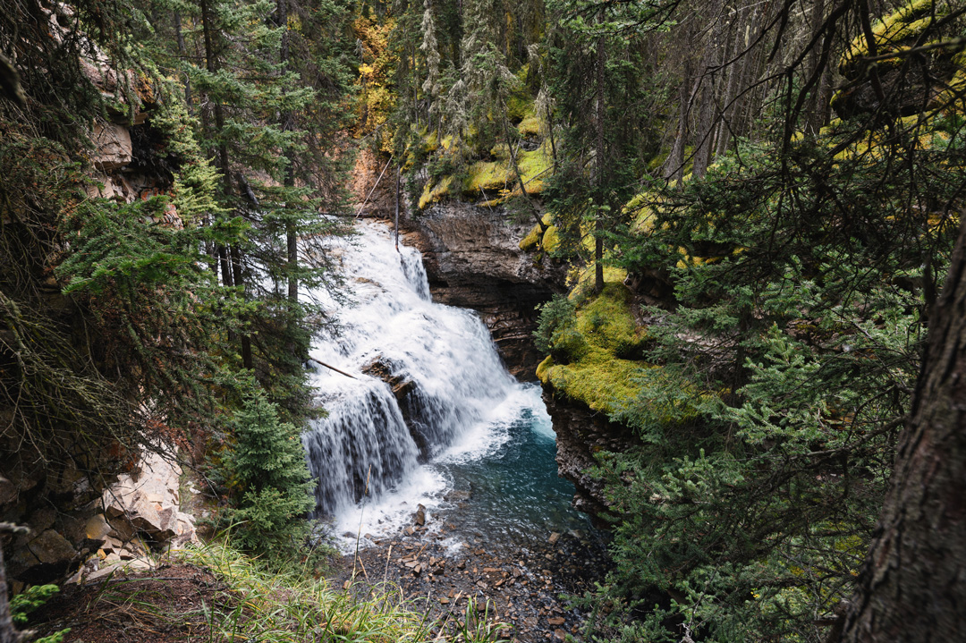 clear waterfall surrounded by trees