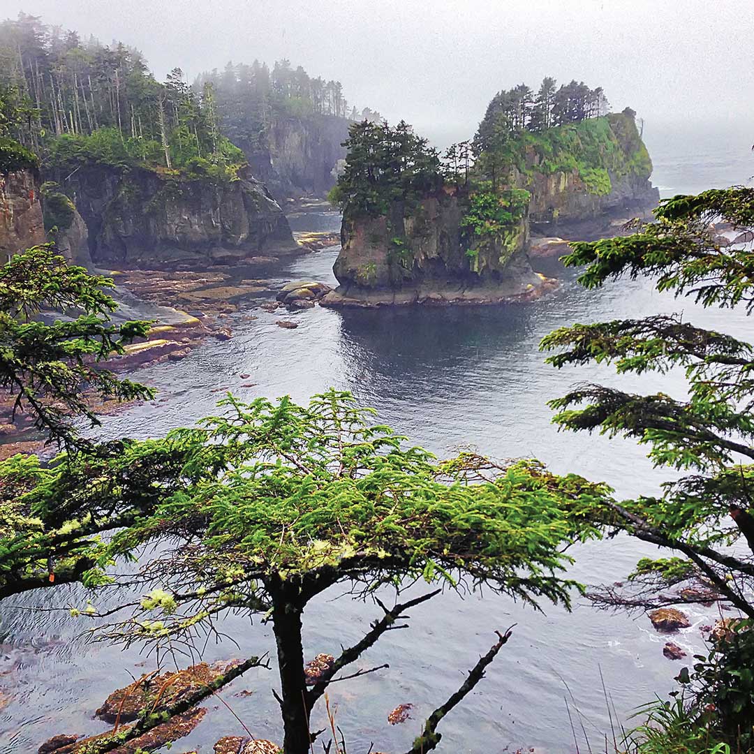 A misty day at rocky Cape Flattery on Washington's Olympic Peninsula.